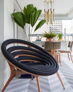 a living room filled with furniture and a plant in the middle of it's center