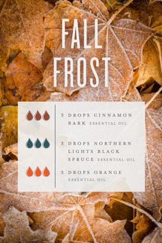 Spruce Essential Oil, Fall Essential Oils, Essential Oil Combinations, Essential Oil Diffuser Blends Recipes, Young Living Essential Oils Recipes, Essential Oils Guide, Essential Oil Diffuser Recipes, Yl Essential Oils, Essential Oil Blends Recipes