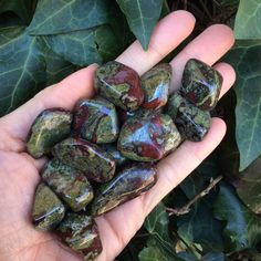 Green And Brown Crystal, Types Of Jasper, Dead Dragon, Dragon Stone, Blood Stone, Dragon Blood