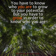 the quote you have to know who you are to grow, but you have to grow in order to know who you are