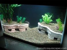 an aquarium with rocks and plants in it