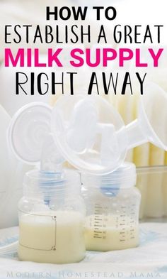 How To Establish a Great Milk Supply Right Away | Modern Homestead Mama #breastfeeding #milksupply #increasemilksupply #pumpingtips #postpartum Power Pumping, Pumping Schedule, Pumping Breastmilk, Healthy Milk, Low Milk Supply, Lactation Recipes, Increase Milk Supply