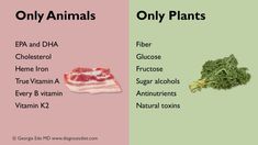 The Carnivore diet | ketOntrack Spiced Zucchini, Eat Slowly, Vitamin K2, Beef Burger, Ribeye Steak, Lamb Chops