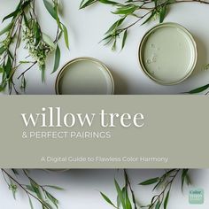 the cover of willow tree and perfect pairings