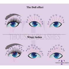 A Comprehensive Guide To Lash Mapping Eye Map, Making A Plan, Electrolysis Hair Removal, Monolid Eyes, Wide Set Eyes, Velour Lashes, Short Lashes