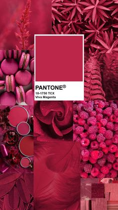 Viva Magenta Colour of the year 2023 Pantone Viva Magenta Color Palette, Trending Colour Pallets 2023, Vivid Magenta Pantone, Deep Magenta Color Palette, Pantone Colour 2023, Pantone Of The Year 2023, Colour Pallette 2023, Pantone Mood Board, Pantone Viva Magenta 2023