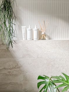 a bathroom with white tile and green plants on the shelf next to it, along with two soap dispensers