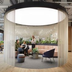 people sitting in an office with plants on the walls