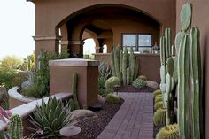 a cactus garden in front of a house with an arched entryway leading to it