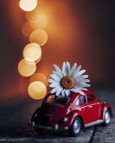 a red car with a white flower in the back seat sits on a wooden table