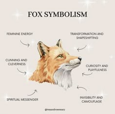 a fox's head with the names of its parts