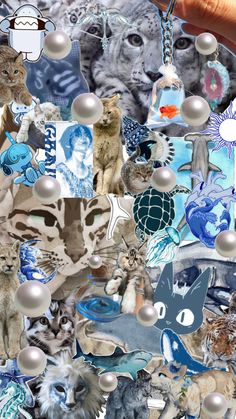 a collage of cats and other animals is shown