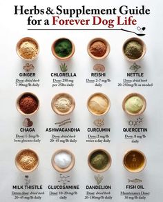 the herbs and supplement guide for a forever dog life is shown on a white background