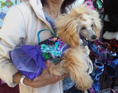 a woman holding a small dog in her arms and wearing a purse with flowers on it