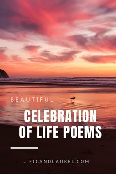 a beach with the words beautiful celebration of life poem written in white on it and an orange sunset