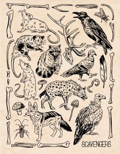 an image of some animals and birds in black ink on white paper with the words savers