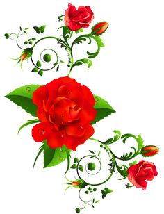 red roses with green leaves and swirls on a white background