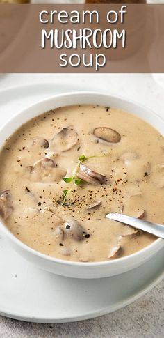 a bowl of cream of mushroom soup on a white plate