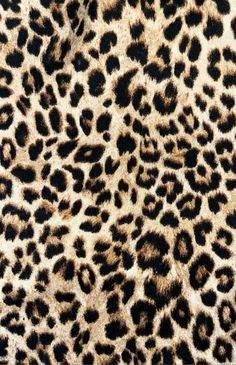 an animal print pattern is shown in brown and black colors, with spots on the fur