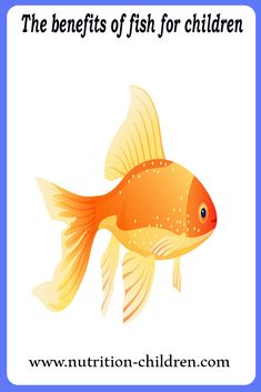 The benefits of fish for children Contents 1 fish for children 2 Benefits of fish for children 2.1 Nutritional content of fish 3 Recommended quantities of fish for children 4 types of fish that are safe for children 5 Harms… Fish Allergy