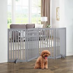 a brown dog sitting in front of a white crib next to a couch and table