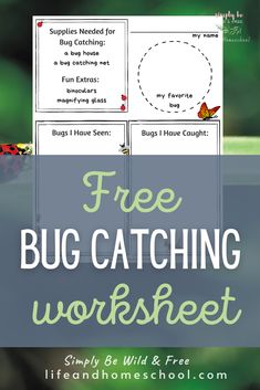 the free bug catching worksheet for kids to learn how to catch bugs and other insects