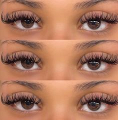 Cat eye lashes | long lashes | almond eyes | #lashextensions #lashgoals #lashesonfleek #lashinspo #lashlove #lashaddict #lashartist #lashesfordays #lashlife #lashboss #lashes #eyelashes #lashextensions #lashgoals #lashlove #lashaddict #lashartist #lashinspiration #lashlife #lashobsessed #fashion #lashesfordays #lashtips Best Lashes For Eye Shape, Lashes Extensions Almond Eyes, Lashes Extensions For Almond Eyes, Best Lashes For Almond Eyes, Lashes For Different Eye Shapes, Eyelashes For Almond Eyes, Almond Eye Lash Map, Almond Eyes Lashes, Eyelash Extensions Almond Eyes