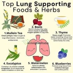 Health Care Routine, Clear Mucus, Mullein Tea, Routine Day, Herbal Medicine Recipes, Lung Health, Healthy Lungs