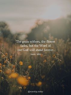 the grass withers, the flower fadess, but the word of our god will stand forever