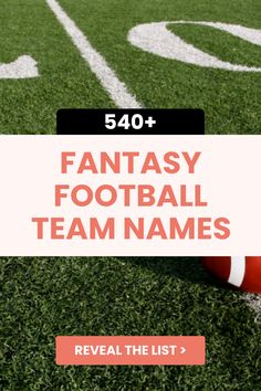 a football field with the text fantasy football team names reveal the list for fantasy football fans