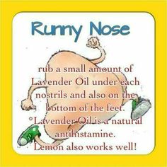 Herbs For Runny Nose, Allergies Remedies, Natural Antihistamine, Essential Oils For Colds, Essential Oils Health, Essential Oil Blends Recipes, Home Health Remedies