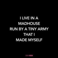 i live in a madhouse run by a tiny army that i made myself