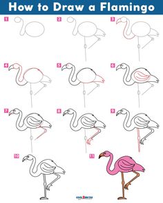 how to draw a flamingo step by step instructions for children and adults with pictures