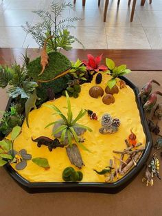 a tray filled with plants and rocks on top of a floor next to a table