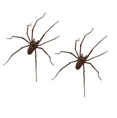 two large brown spiders sitting on top of each other