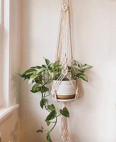 a potted plant hanging from a macrame