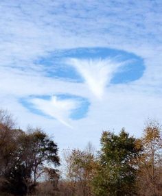 a heart shaped cloud in the sky above trees