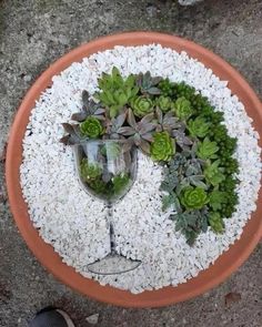 a potted plant with two wine glasses in it and gravel on the ground next to it