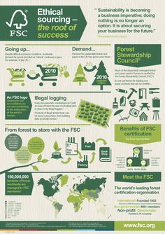 an info poster showing the different types of trees