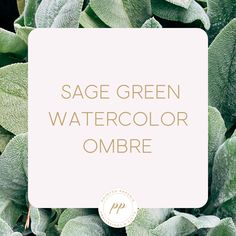 sage green watercolor ombre is shown in front of some leaves with the text sage green watercolor ombre