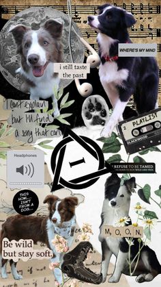 collage of dogs and music notes with words written in the middle, on top of each other