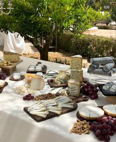 a table with cheeses, grapes and crackers on it in the middle of an outdoor setting