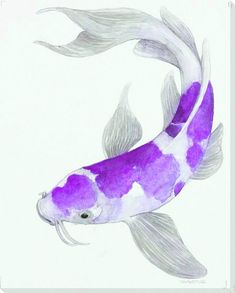 purple koi fish art/art and ideas Purple Fish Drawing, Purple Koi Fish Tattoo, Purple Koi Fish, Gluggle Jug, Koi Fish Art, Coy Fish, Blue Koi