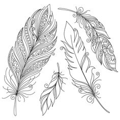 three feathers with intricate designs on white background stock photo - 559872