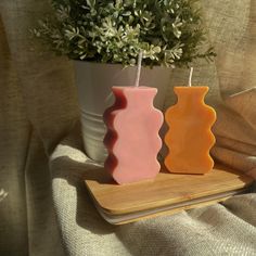 two vases sitting next to each other on a wooden tray near a potted plant