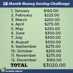 the 12 month money saving challenge