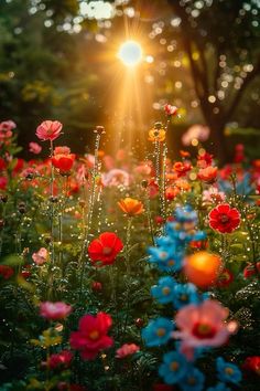 the sun shines brightly over colorful flowers