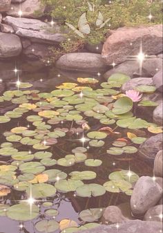 Aesthetic  merky pond with lily pads with a sparkle effect and a faded dingy vibe Cottagecore Pond, Nature Aesthetic Wallpaper, Garden Markers Diy, Start A Vegetable Garden, Nature Inspired Home Decor, Nature Inspired Home, Cottagecore Wallpaper, St Helier