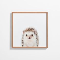 a hedgehog framed in wood on a white wall