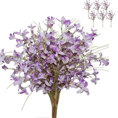 purple flowers in a vase on a white background